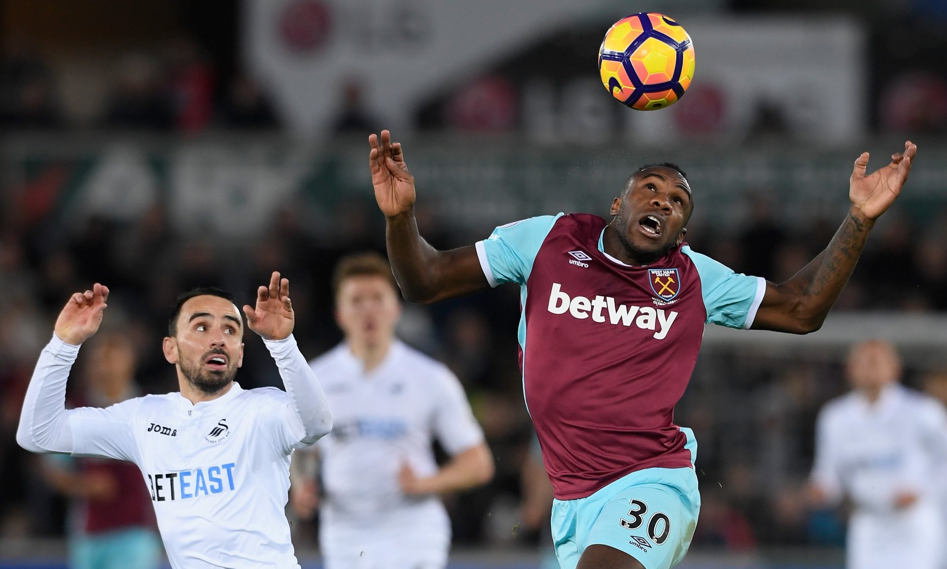 一个成功的 一个成功的