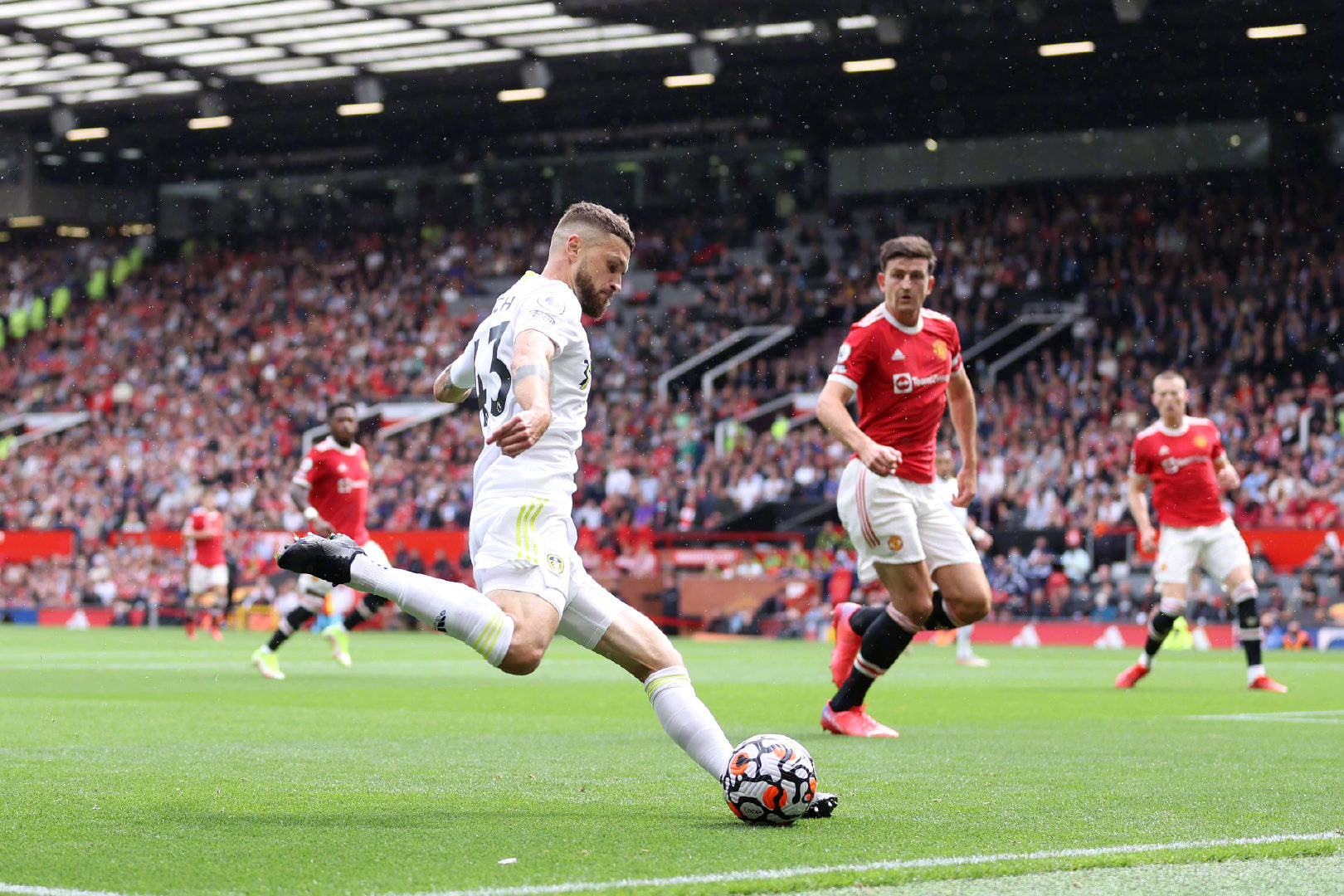 不仅是一种 不仅是一种